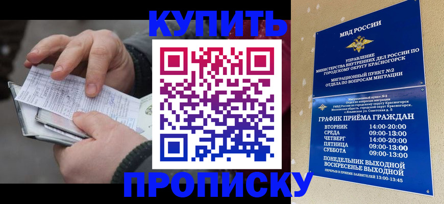 временная регистрация недорого в Можге